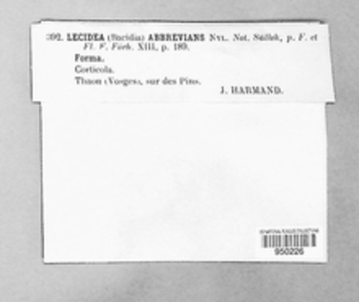 Lecidea abbrevians image